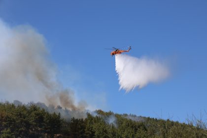 menteşe yangın, menteşe orman yangını, menteşe, menteşe yeşilyurt, menteşe yeşilyurt yangın