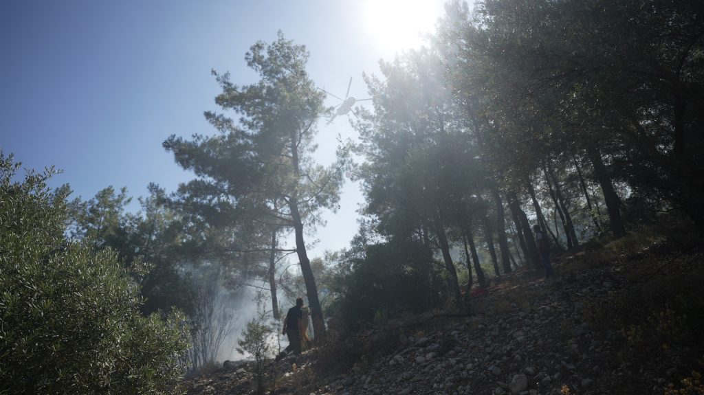 menteşe yangın, menteşe orman yangını, menteşe, menteşe yeşilyurt, menteşe yeşilyurt yangın