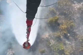 milas orman yangını son dakika