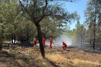 muğla fethiye orman yangını