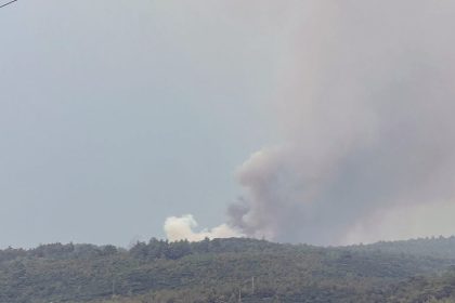yatağan orman yangını yatağan yangın son dakika