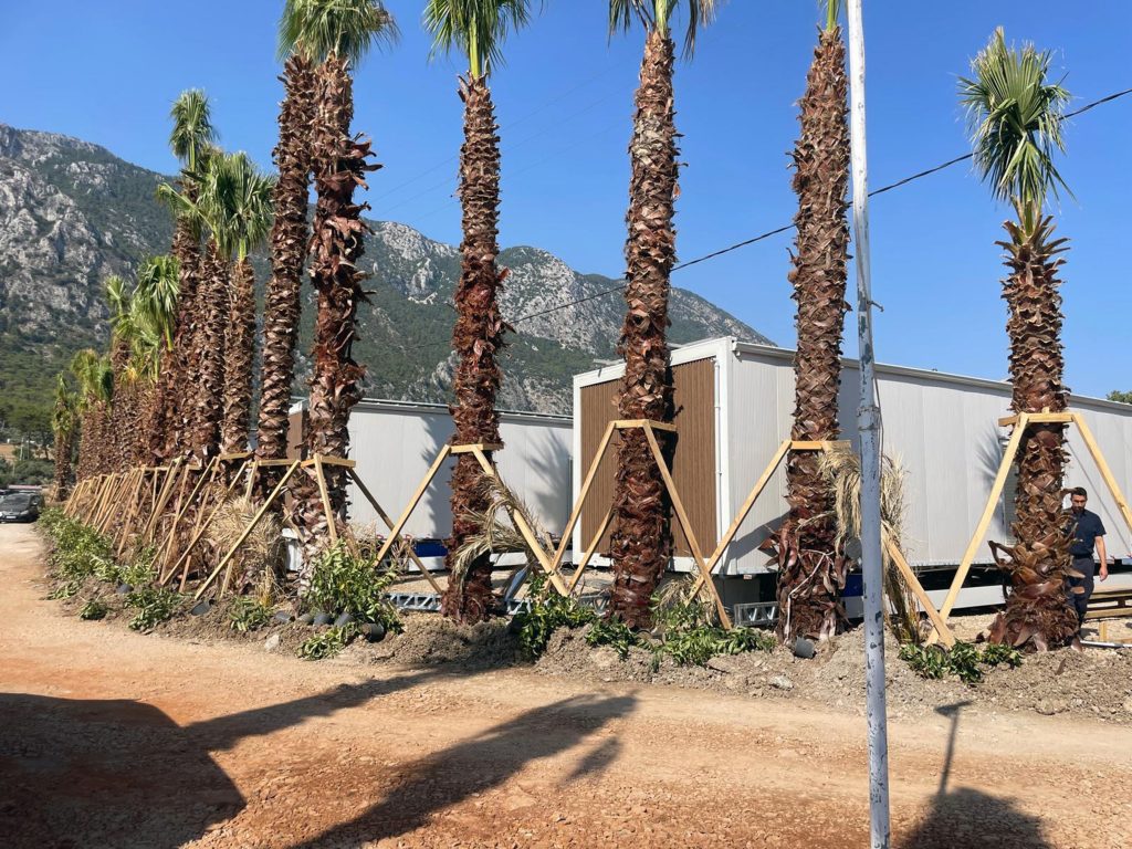menteşe tinny house, akbük tinny house, akbük sahili, tinny house, menteşe belediyesi taşınabilir yapı, menteşe