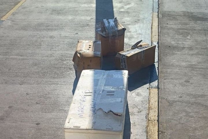 muğla şehirlerarası otobüs terminali, muğla otogar, muğla sahipsiz midye, muğla, muğla midye