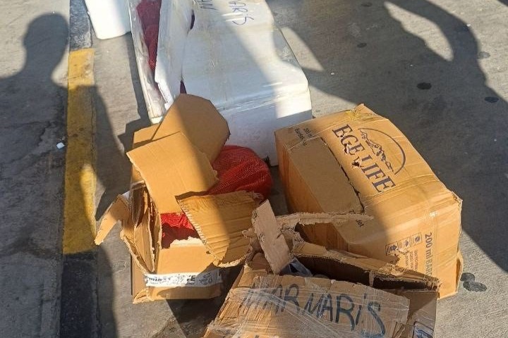 muğla şehirlerarası otobüs terminali, muğla otogar, muğla sahipsiz midye, muğla, muğla midye