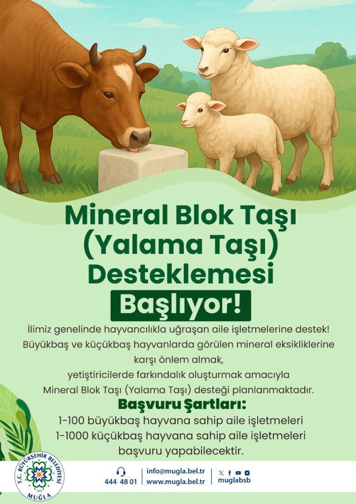 muğla yalama taşı desteği muğla büyükşehir