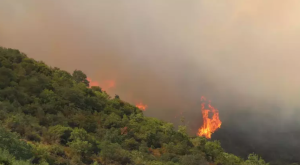 kocaeli derince yangın son dakika, derincede yangın, kocaeli yangın haberi, kocaeli haber son dakika, kocaeli orman yangını