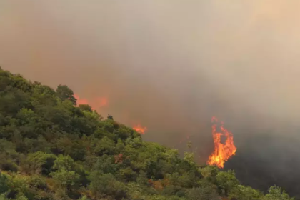 kocaeli derince yangın son dakika, derincede yangın, kocaeli yangın haberi, kocaeli haber son dakika, kocaeli orman yangını
