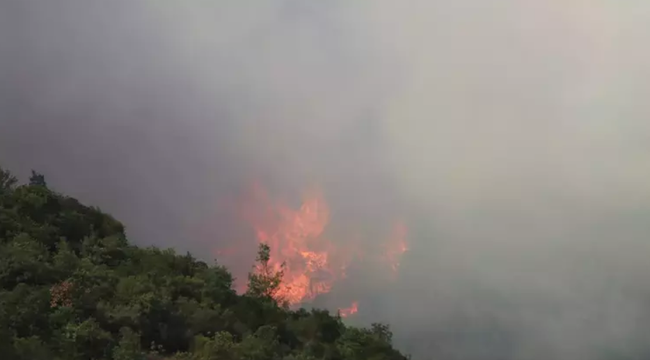 kocaeli derince yangın son dakika, derincede yangın, kocaeli yangın haberi, kocaeli haber son dakika, kocaeli orman yangını