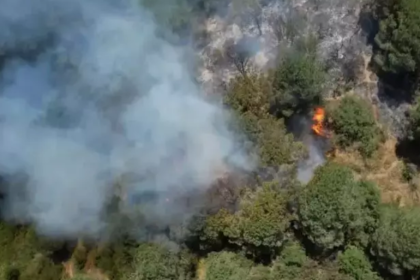 sultangazi kent ormanı, istanbul kent ormanı, kent ormanı yangın, istanbul yangın son dakika, istanbul kent ormanı nerede