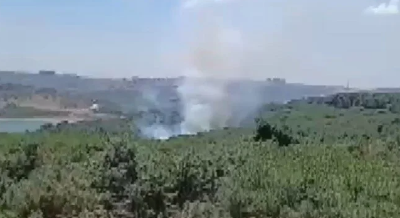 sultangazi kent ormanı, istanbul kent ormanı, kent ormanı yangın, istanbul yangın son dakika, istanbul kent ormanı nerede