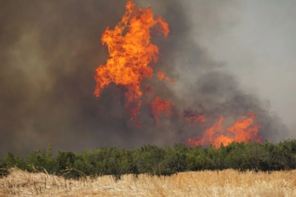 şarköy yangın son dakika şarköy yangın tekirdağ son dakika yangın şarköyde yangın tekirdağ yangın son dakika