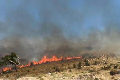 canakkale yangın çanakkalede yangın çanakkale yangın haberleri çanakkale tuzla tuzla yangın