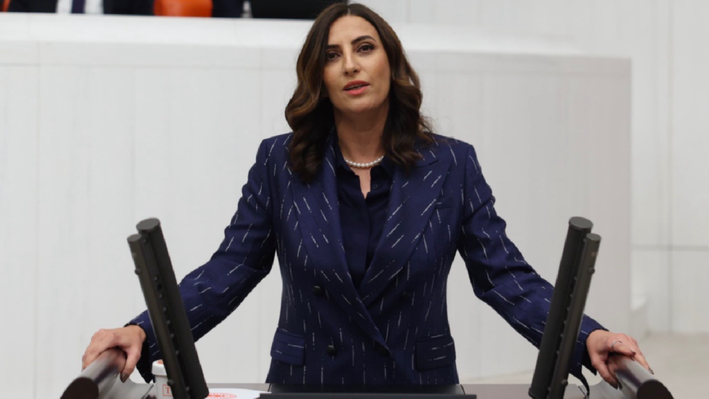 evrim rızvanoğlu kimdir, chp milletvekili, chp evrim rızvanoğlu, evrim rızvanoğlu, evrim rızvanoğlu chpye mi geçt
