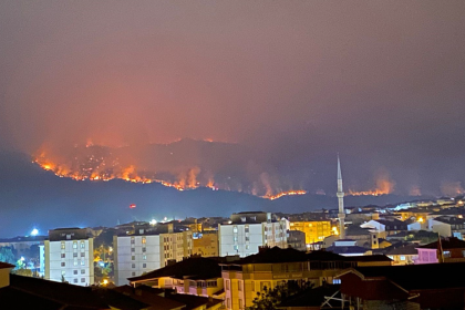 sakarya bilecik yangın, osmaneli yangın, bilecik orman yangını son dakika, sakarya'da yangın, bilecik yangını