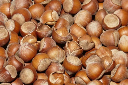 tmo fındık alım fiyatı, 2025 fındık listesi, fındık fiyatları, fındık, fındık fiyatı