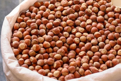 fındık fiyatları 2025, fındık alım fiyatı ne kadar, fındık fiyatları açıklandı mı, tmo fındık, tmo