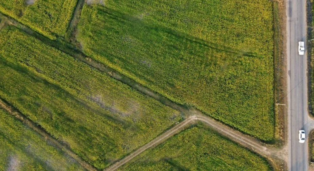 kentsel dönüşüm başkanlığı, kentsel dönüşüm başkanlığı arsa satışı, arsa satışı, açık artırma arsa satışı, 642 arsa satışı