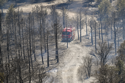 eymir gölü yangın eymir yangın son dakika ankara yangın ankara eymir yangın ankara eymir gölü yangın