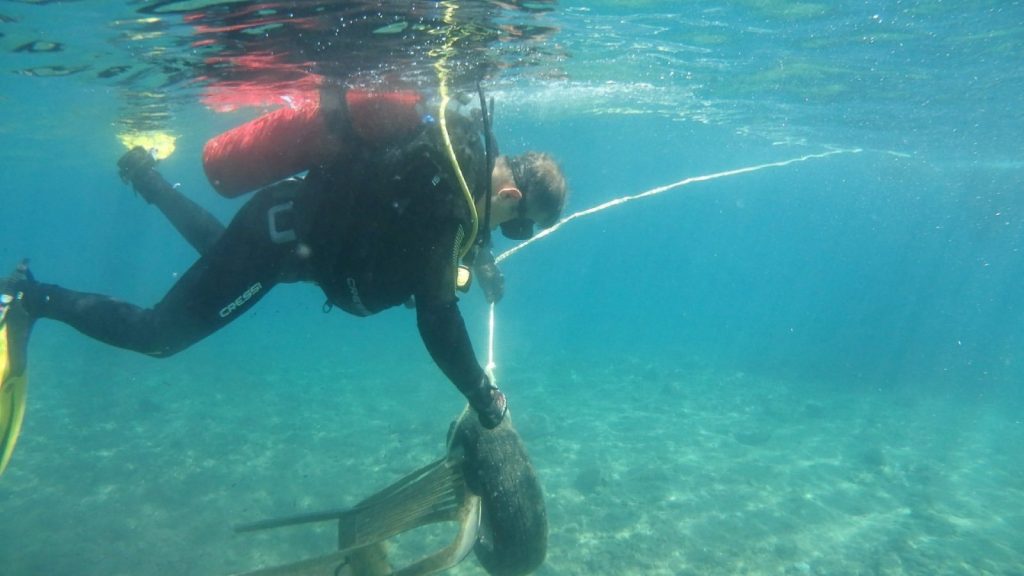 bodrum gündoğan, bodrum deniz, bodrum gündoğan sahili, gündoğan sahili bodrum, bodrum deniz dibi temizliği