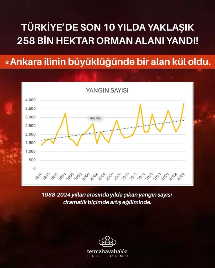 orman yangını, temiz hava hakkı platformu, türkiye orman yangınları,  yangın, türkiye yangın