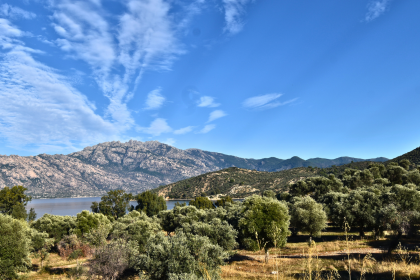 iklim kanunu, iklim kanunu teklifi