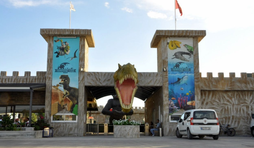 antalyada aslan kaçtı, hayvanat bahçesinden kaçan aslan, aslan saldırısı, antalya hayvanat bahçesi, manavgat hayvanat bahçesi