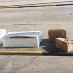 muğla şehirlerarası otobüs terminali, muğla otogar, muğla sahipsiz midye, muğla, muğla midye