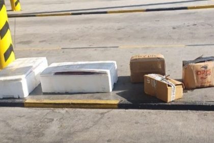 muğla şehirlerarası otobüs terminali, muğla otogar, muğla sahipsiz midye, muğla, muğla midye