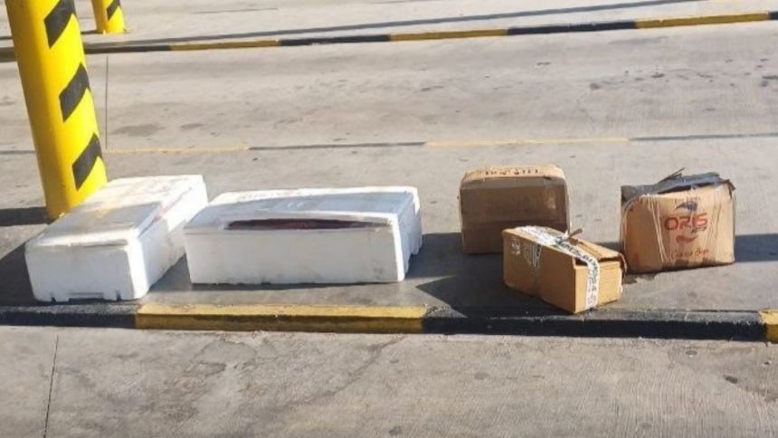 muğla şehirlerarası otobüs terminali, muğla otogar, muğla sahipsiz midye, muğla, muğla midye