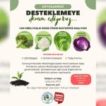 milas belediyesi, milas kışlık sebze