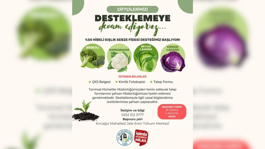 milas belediyesi, milas kışlık sebze