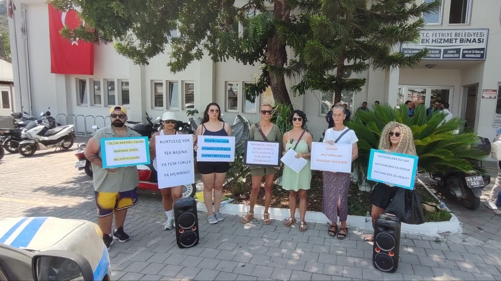 fethiye hayvan hakları fethiye zabıta protesto fethiye sokak hayvanları fethiye zabıta sokak hayvanları