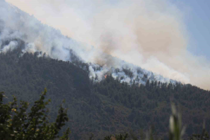 yangın son dakika, yangın bilecik yangın eskişehir'de yangın son dakika yangın eskişehir'de yangın son dakika