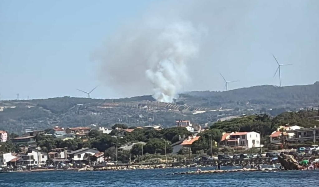 urla yangın, izmir urla yangın, urla orman yangını, izmir orman yangını, urla yangın son dakika