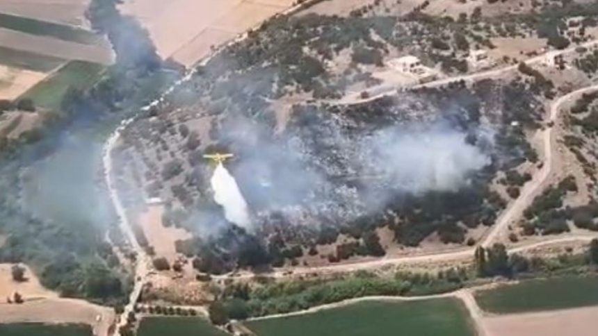 milas yangın, milas yangın kontrol altına alındı, milas yangın kontrol, milas, milas ziraat alanda yangın