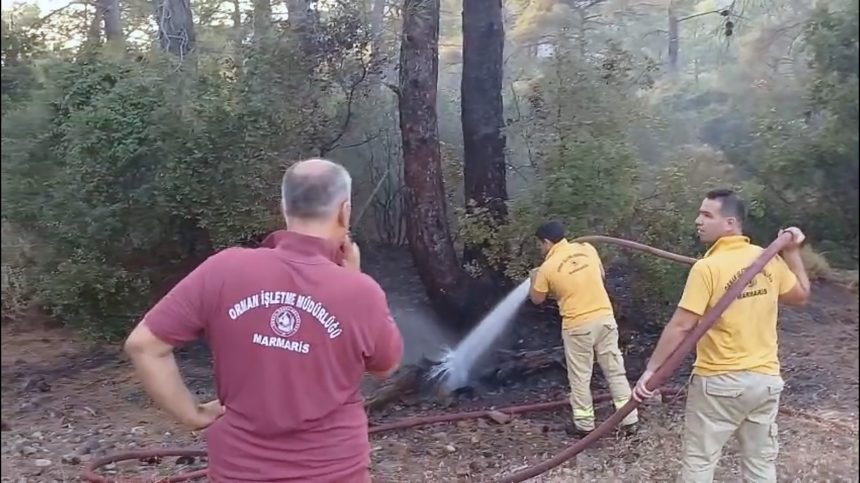 marmaris orman yangını, marmaris yangın, marmaris, marmaris yıldırım kaynaklı yangın, marmaris yıldırım