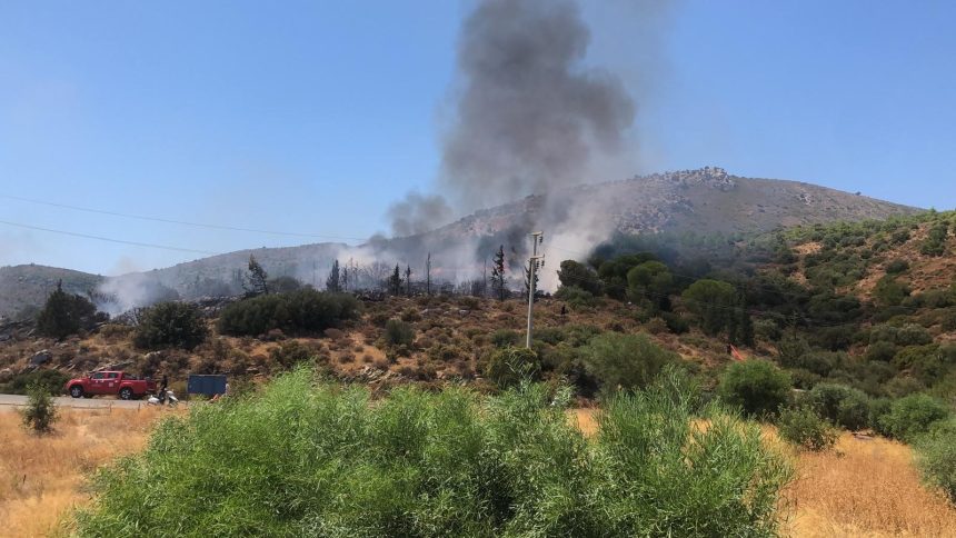 datça yangın, datça makilik yangın, datça, datça panorama tepesi, datça makilik alan yangın