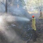 ortaca orman yangını, ortaca otomobil yangını, ortaca yangın, ortacada otomobil yandı, ortaca orman yangını söndürüldü