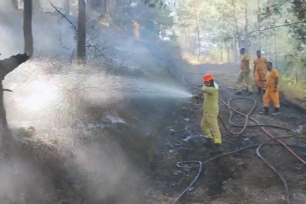ortaca orman yangını, ortaca otomobil yangını, ortaca yangın, ortacada otomobil yandı, ortaca orman yangını söndürüldü