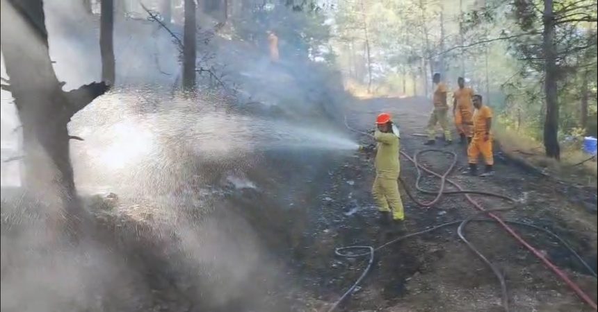 ortaca orman yangını, ortaca otomobil yangını, ortaca yangın, ortacada otomobil yandı, ortaca orman yangını söndürüldü