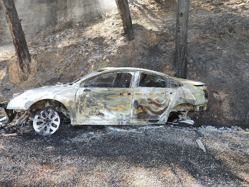 ortaca orman yangını, ortaca otomobil yangını, ortaca yangın, ortacada otomobil yandı, ortaca orman yangını söndürüldü