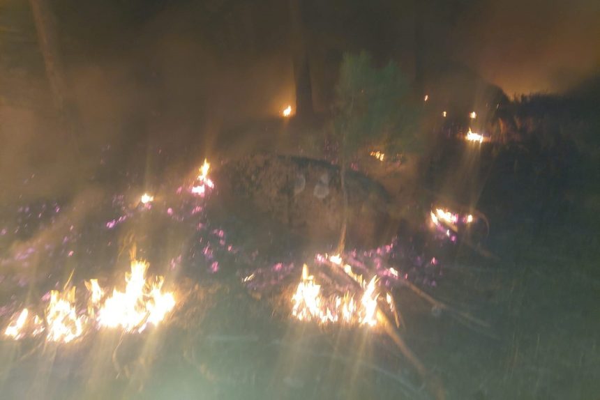 yatağan orman yangını, yatağan yangın, yatağan, orman yangını, yangın