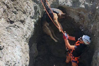 datça kuyuya düşen köpek, kuyuya düşen köpek, datça mahalle afet gönüllüleri,
