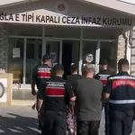 köyceğiz mısır tarlası, köyceğiz mısır tarlası operasyon, köyceğiz mısır tarlası uyuşturucu operasyonu, köyceğiz uyuşturucu operasyonu, köyceğiz
