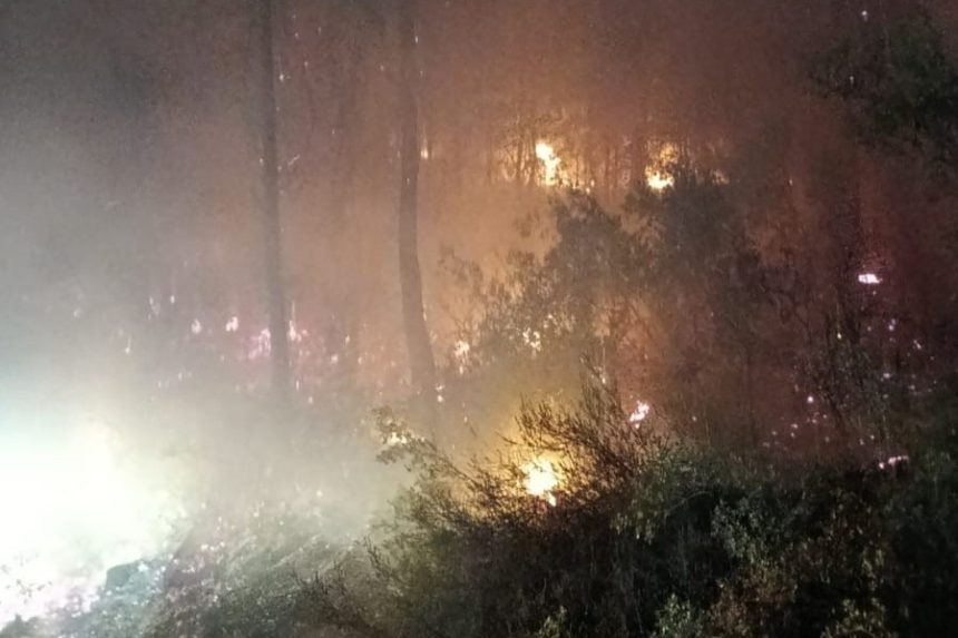 köyceğiz yangın, köyceğiz orman yangını, köyceğiz, köyceğiz orman, orman yangını