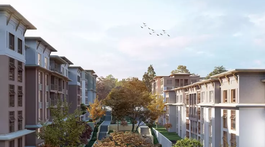 250 bin sosyal konut başvurusu, toki başvuru şartları, toki başvurusu e-devlet, toki başvuru, toki 250 bin sosyal konut