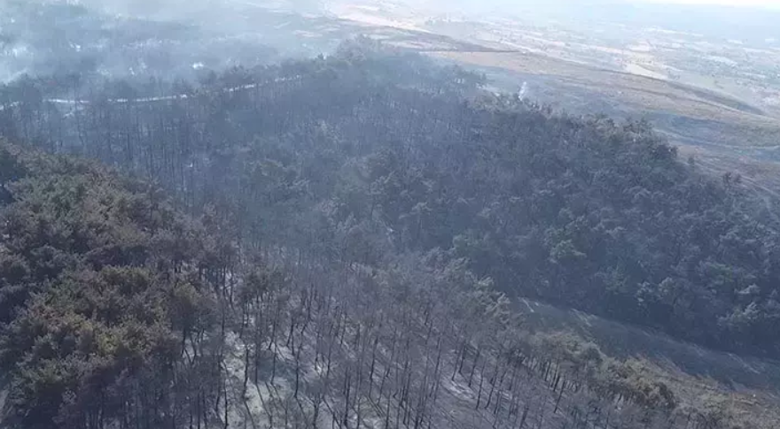 çanakkale yangın söndü mü
çanakkale de yangın
çanakkale yangın kontrol altına alındı mı
canakkale yangin
çanakkale yangın haberleri