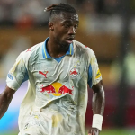 dorgeles nene, dorgeles nene transfer, fenerbahçe dorgeles nene, fenerbahçe transfer haberleri, fenerbahçe dorgeles nene