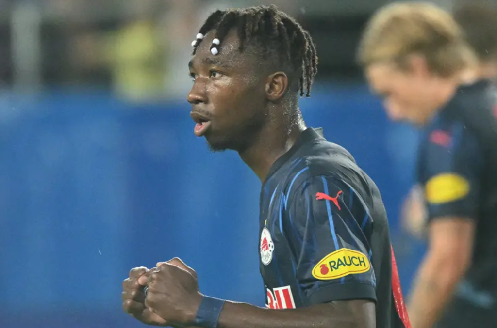 dorgeles nene, dorgeles nene transfer, fenerbahçe dorgeles nene, fenerbahçe transfer haberleri, fenerbahçe dorgeles nene