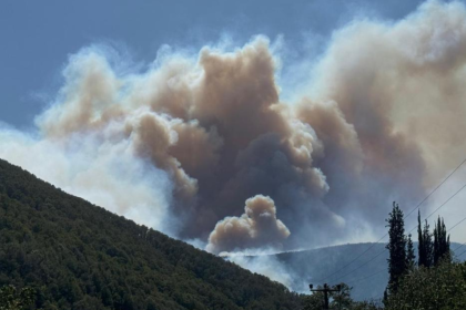 karamürsel yangın karamürsel haber bursa orman yangını kocaeli yangın orman yangını